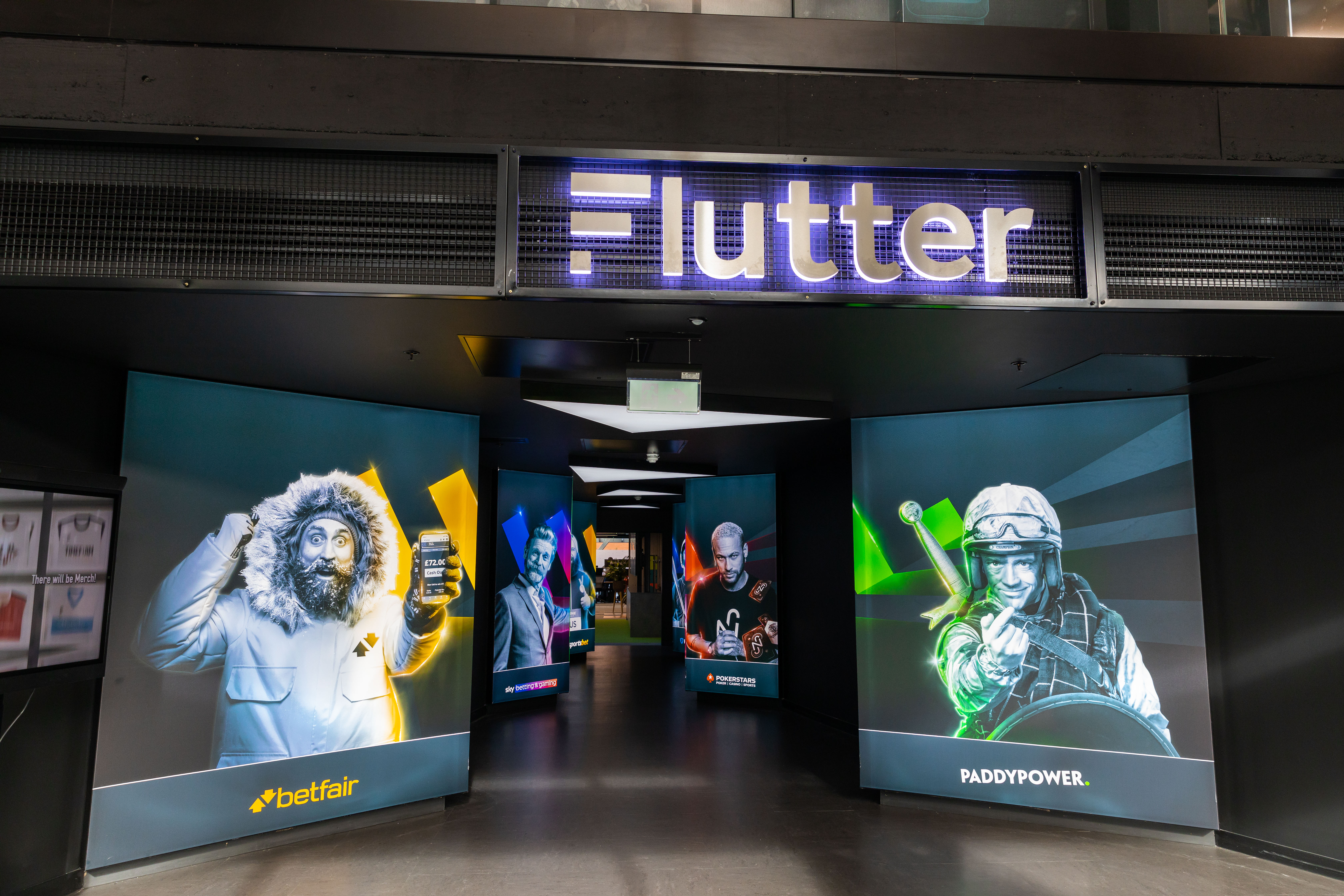 Flutter Image 3