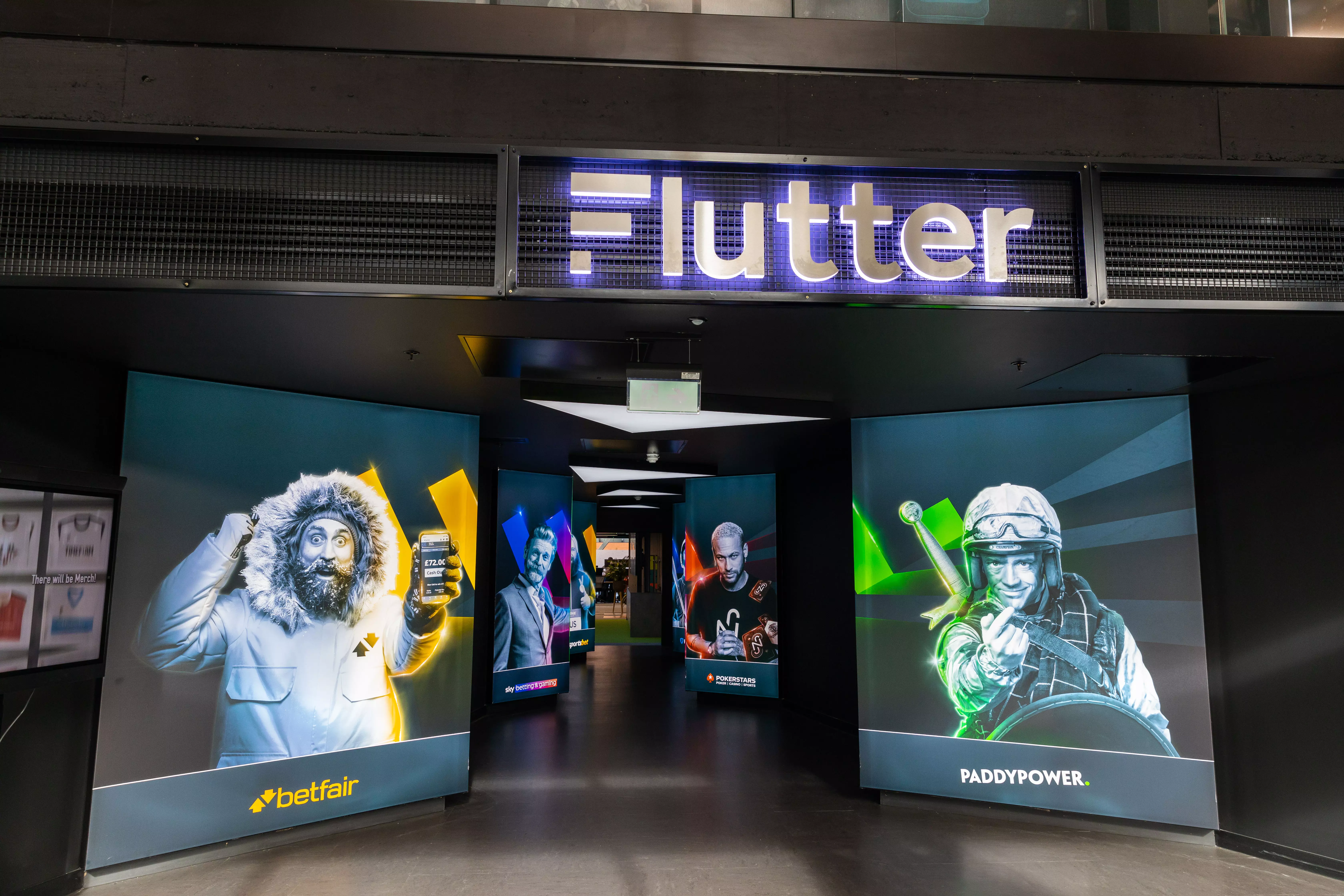 Flutter Image 3
